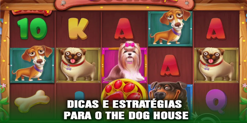 Dicas e Estratégias para o The Dog House