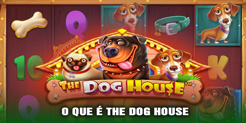 O Que é The Dog House