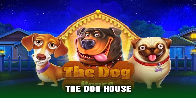 The Dog House